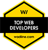 Top Web Development Companies in About