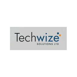 Techwize logo