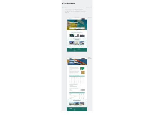 Website development for Stroypanel