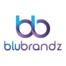 BluBrandz Technologies Pvt Ltd