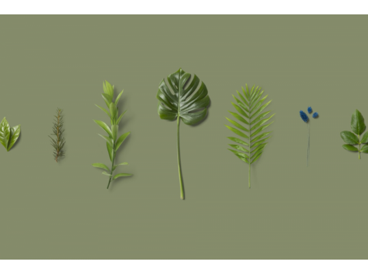 Plantscounter | Evrone