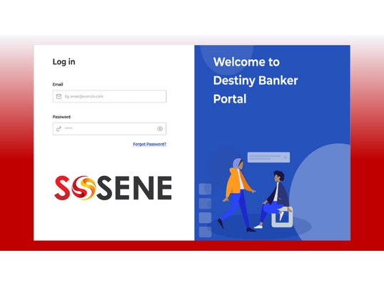 Customer Web Portal System