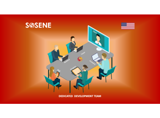 Dedicated Development Team Service for the US Client