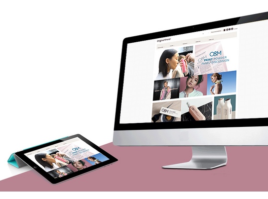 Wordpress Ecommerce Website