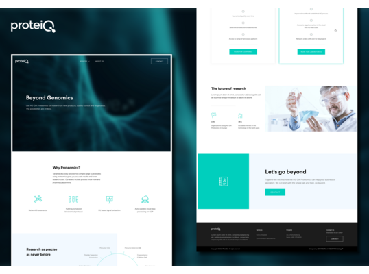 ProteIQ - Webdesign