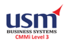 USM Business Systems