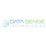 Datasense Technologies