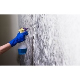 Greenville Mold Removal