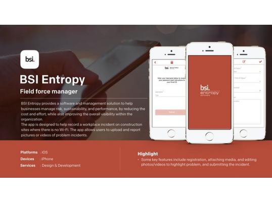 BSI Entropy