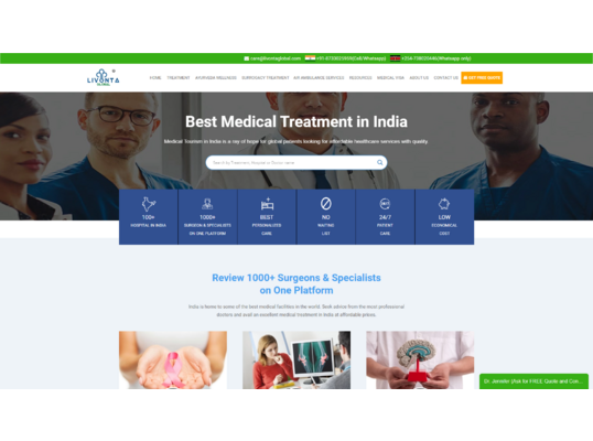 LIVONTAGLOBAL.COM – PAY PER CLICK CASE STUDY