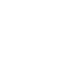 Summer Institute