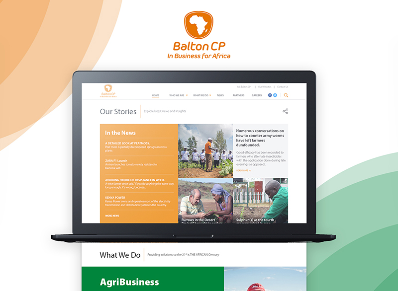 BALTON CP: Corporate websites | Integrating Efficiency with Simplicity