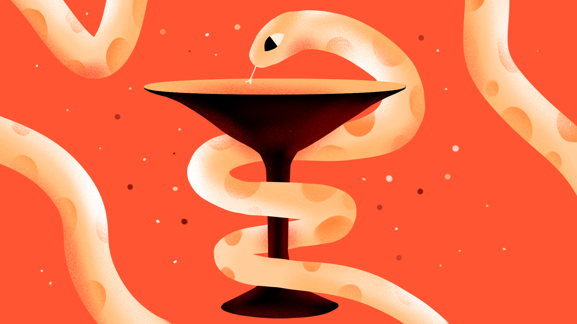 Python in the Healthcare Industry