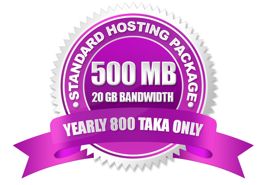 Standard Hosting (500MB)