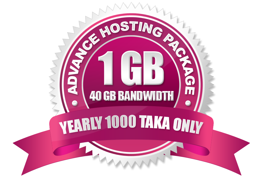 Advance Hosting (1GB)