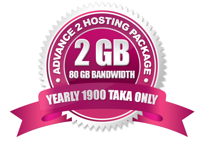 Advance 2 Hosting (2GB)