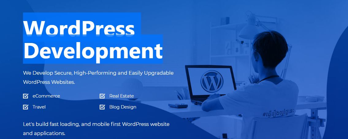 Our WordPress Works