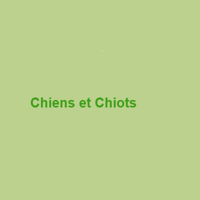 Chiens et Chiots