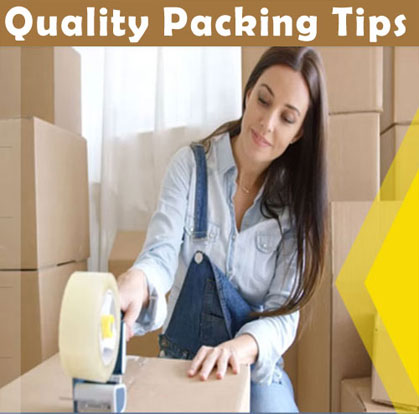 Max Packers and Movers Noida Services