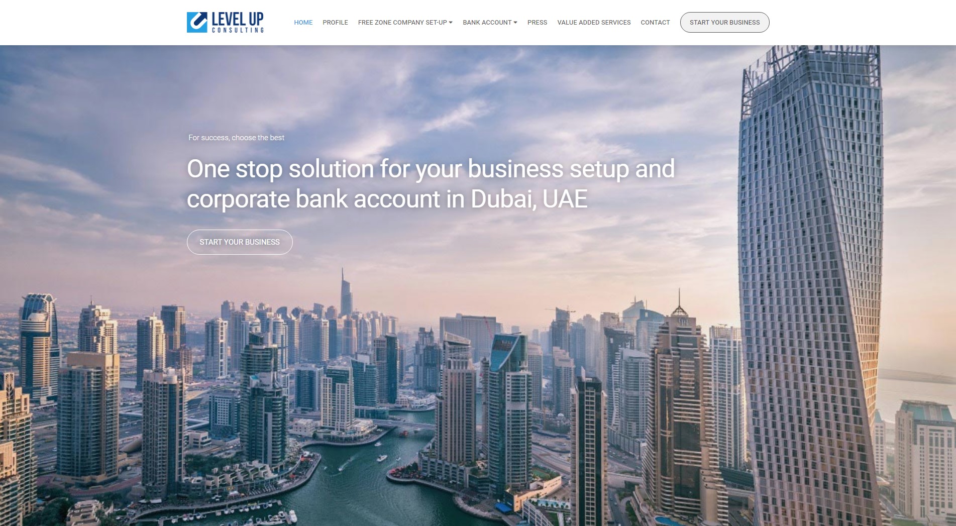 Levelup Consulting