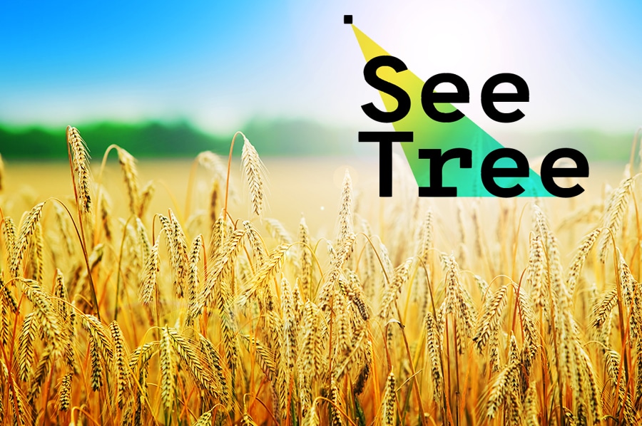 seetree