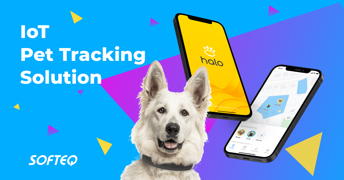 Mobile App, Admin Portal, and Firmware for a Smart Dog Collar Halo