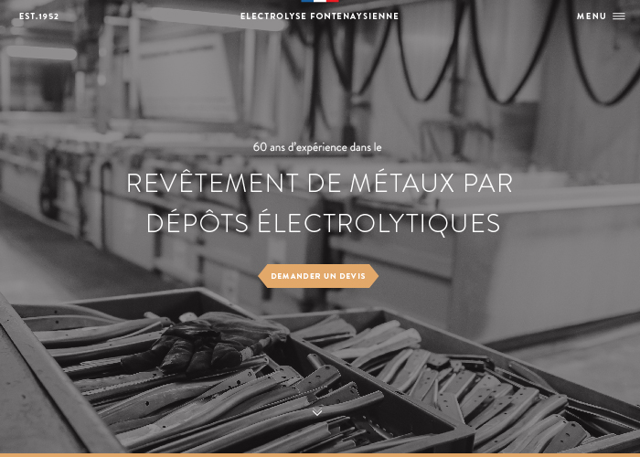 Electrolyse Fontenaysienne